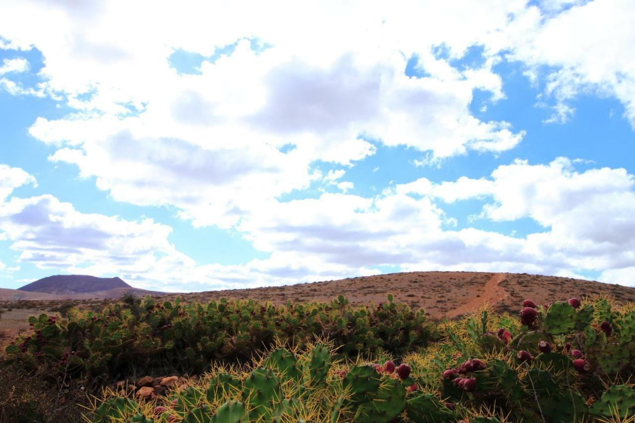 Montana Valles De Ortega - A Luaran gambar